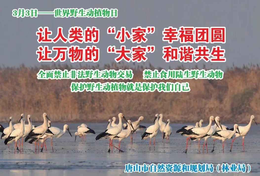 推动绿色发展 促进人与自然和谐共生