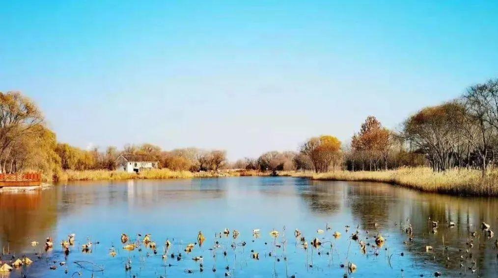 大雪节气，气温先升后降