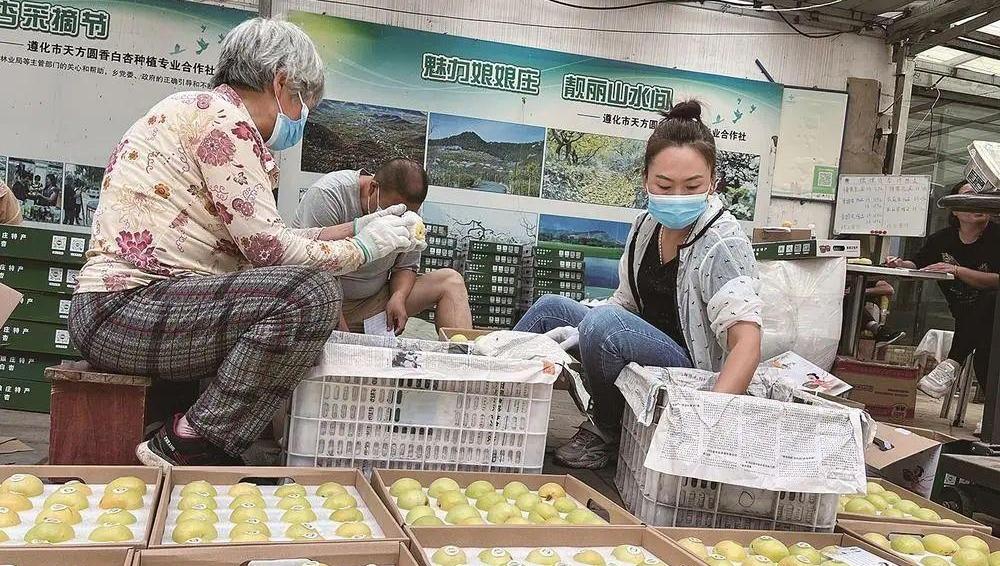 数量位居全省榜首！唐山12家农民专业合作社获评全国供销社系统示范社