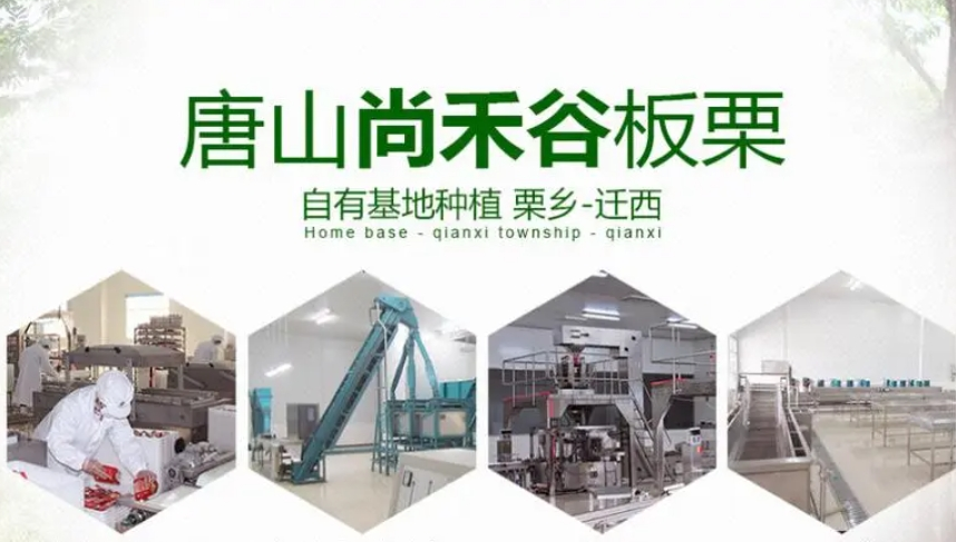 唐山尚禾谷板栗发展有限公司：为耕者谋利 为食者造福