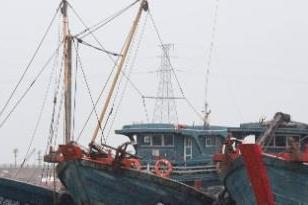 唐山渤海海域进入伏季休渔期