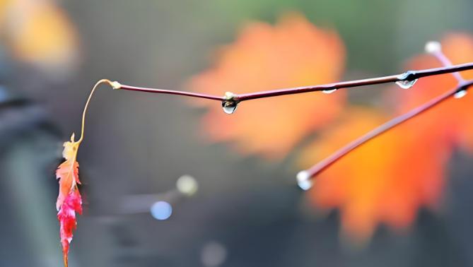 明天有小雨！