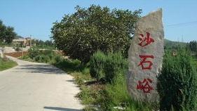 遵化沙石峪从“青石板上创高产”到“乡村振兴排头兵”