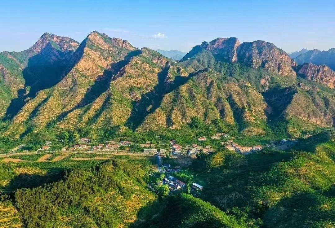 青山.jpg