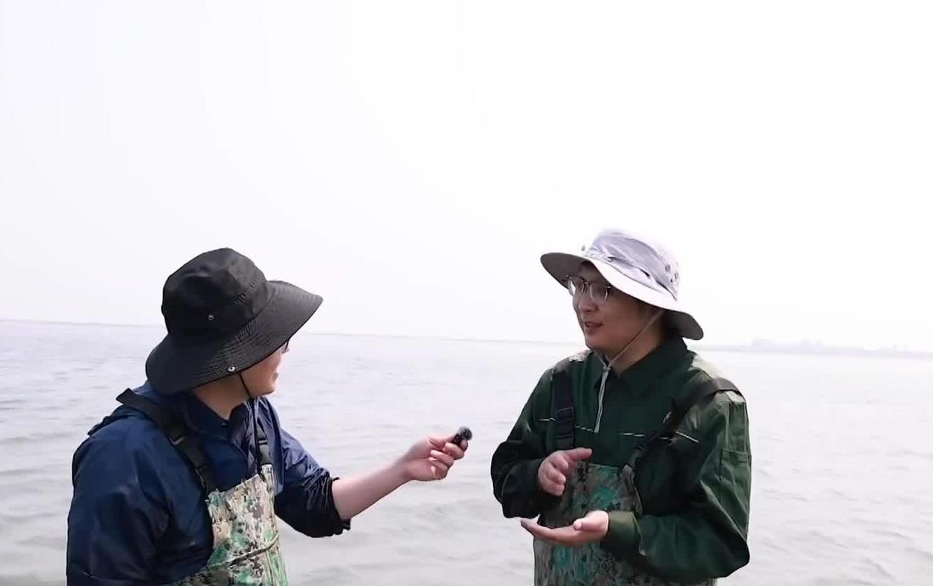 唐山：人海和谐 守护蔚蓝