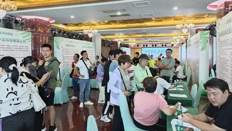 专场招聘会系列活动助残就业