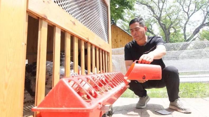 乐亭庞各庄乡：党建赋能强“头雁” 集体经济“换挡提速”