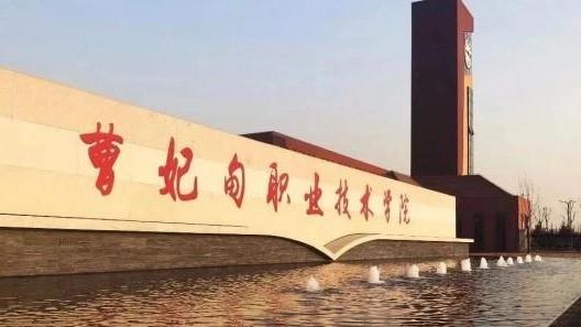 曹妃甸职业技术学院2025年公开招聘人才公告