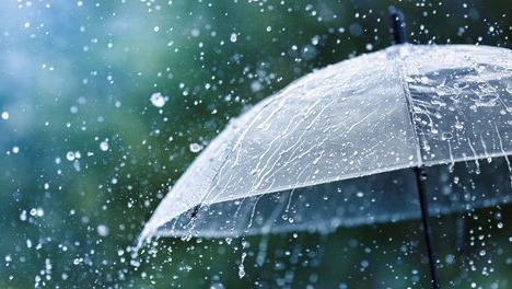 周末有雨