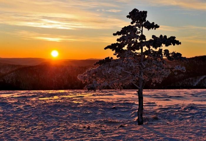 傲立陆冠京.jpg 傲立陆冠京.jpg