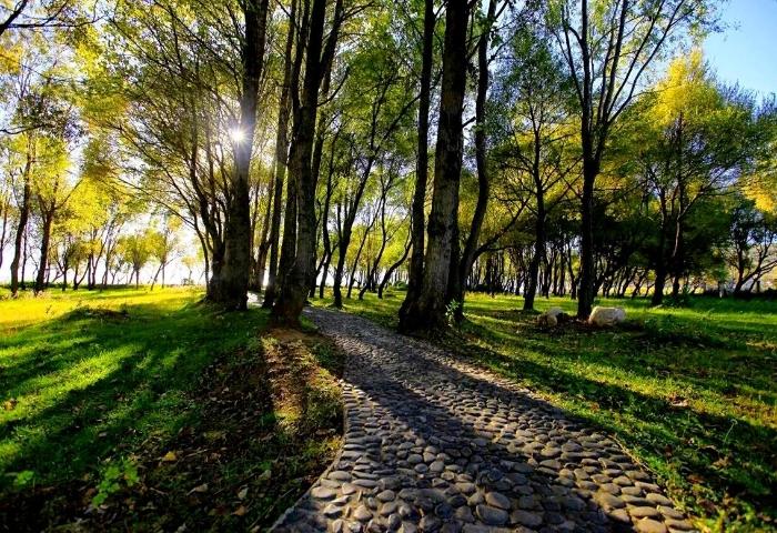 时光印记.jpg 时光印记.jpg