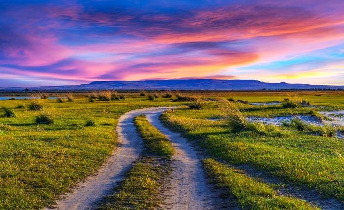 090881.jpg 090881.jpg