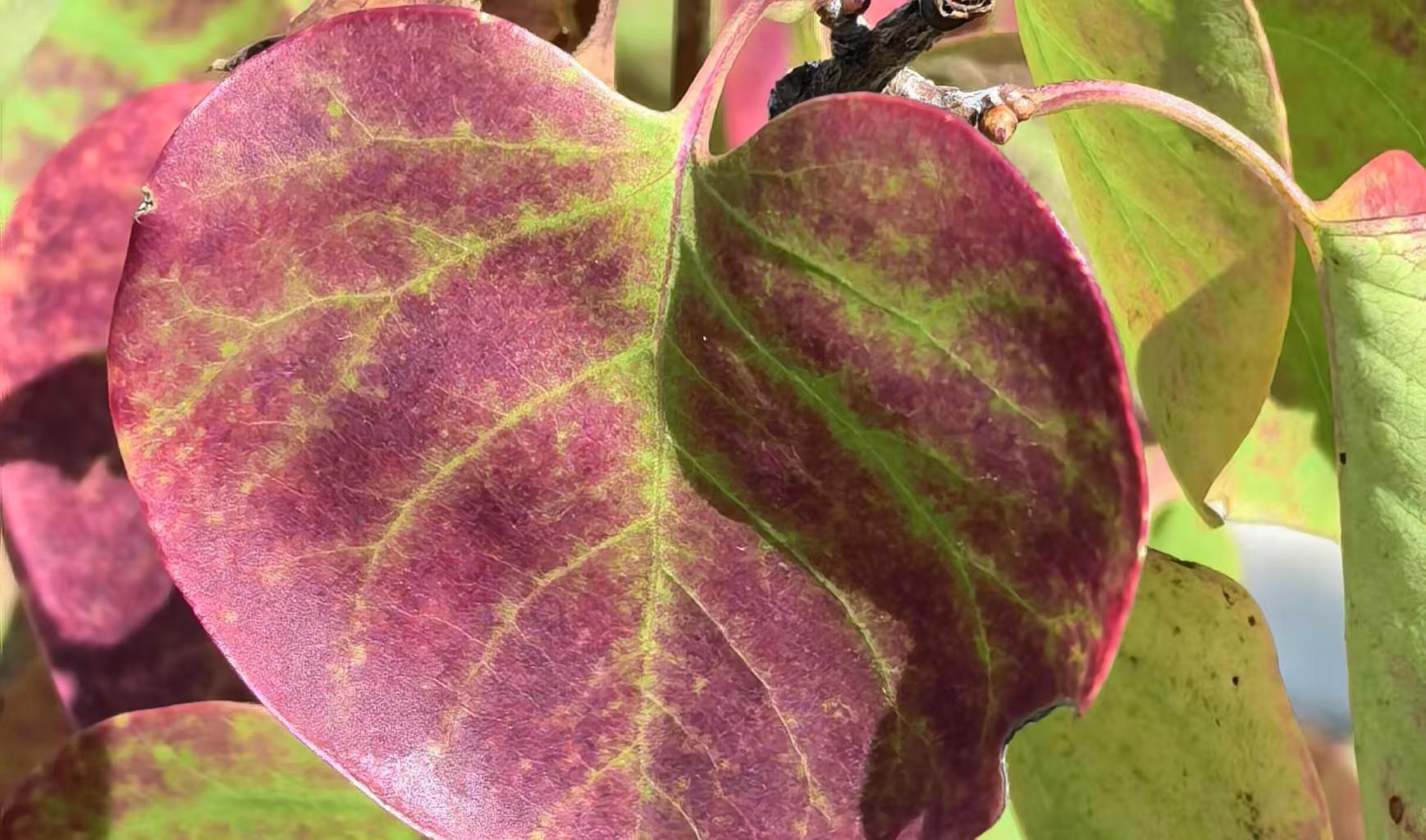 0f5dc61a3e97390d8dd486b0bd99437.jpg 0f5dc61a3e97390d8dd486b0bd99437.jpg