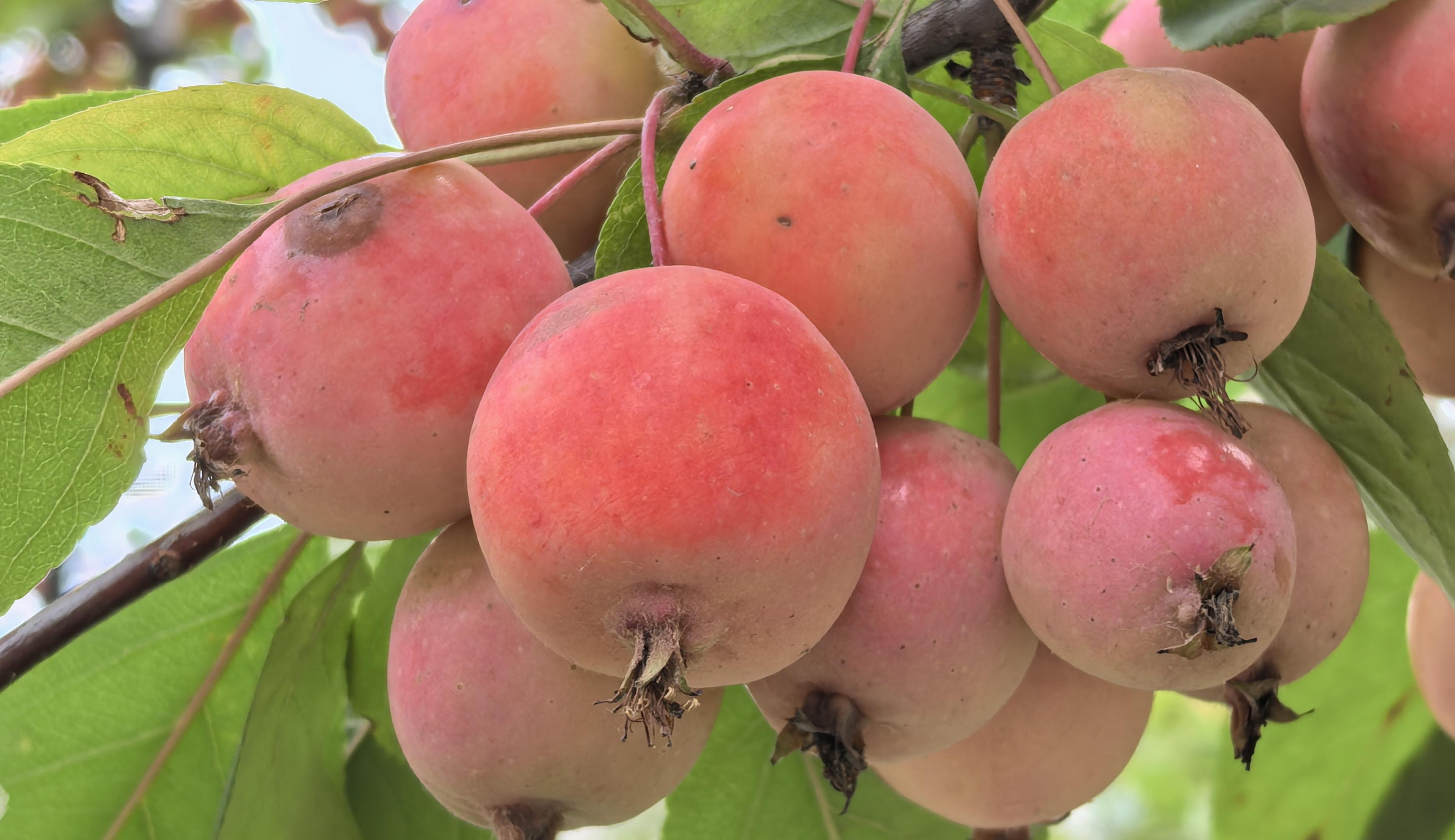 58e903447404e292d74783e1e3a3e41.jpg 58e903447404e292d74783e1e3a3e41.jpg