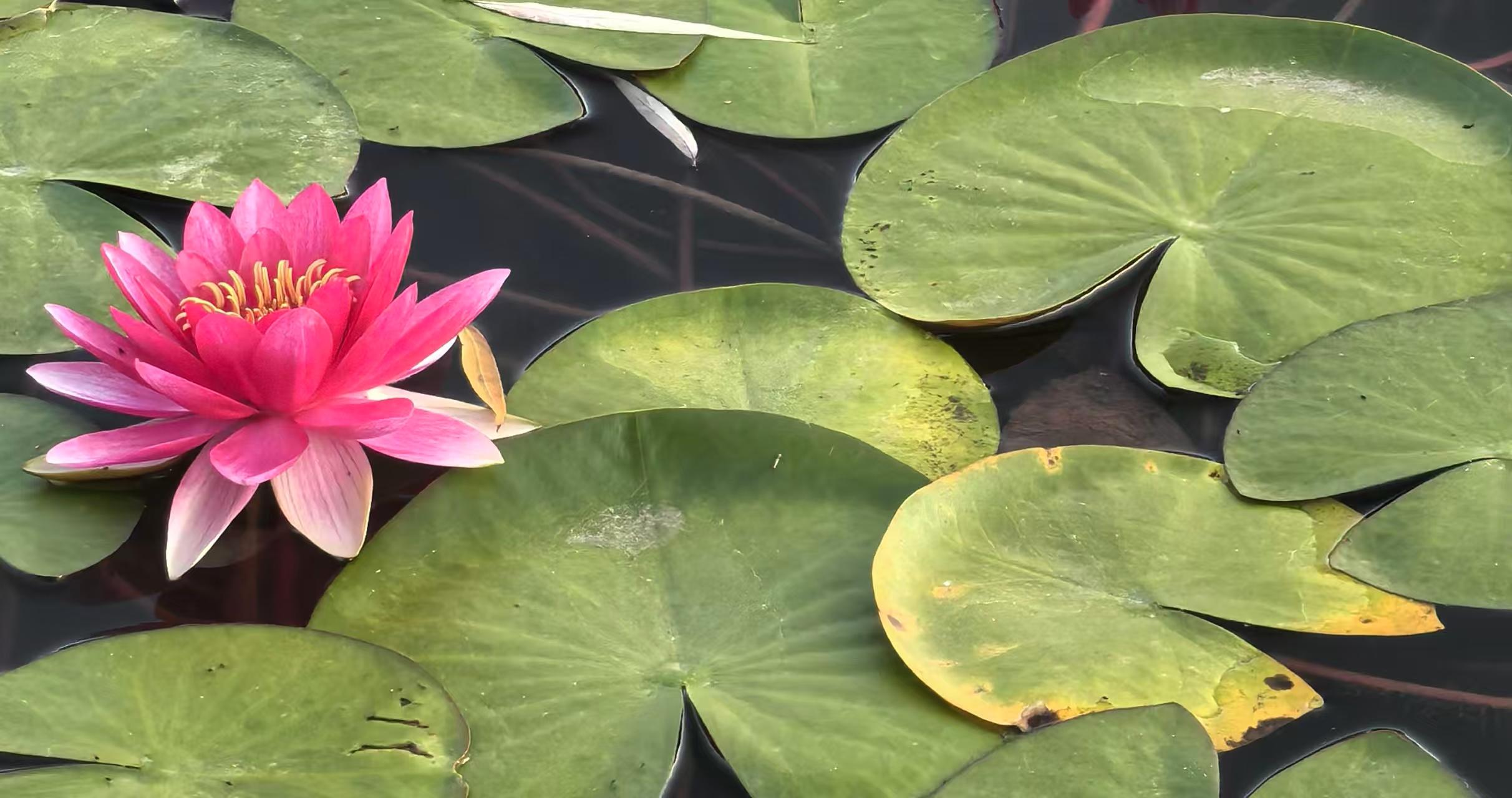 8d72d7b3dc5c68664167857c1ea2700.jpg 8d72d7b3dc5c68664167857c1ea2700.jpg