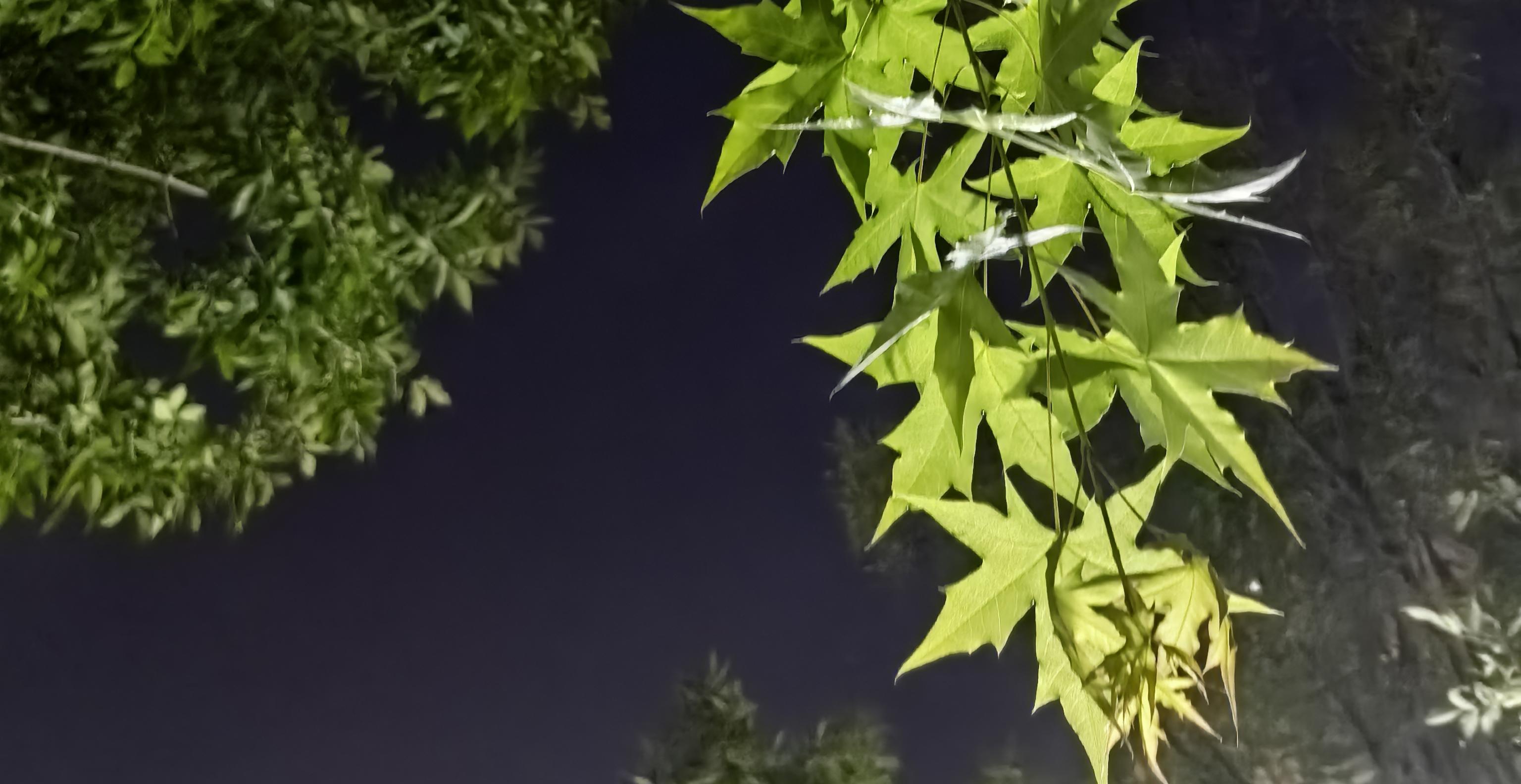 5dc8d88c8cd035c6f86042fdded5b89.jpg 5dc8d88c8cd035c6f86042fdded5b89.jpg