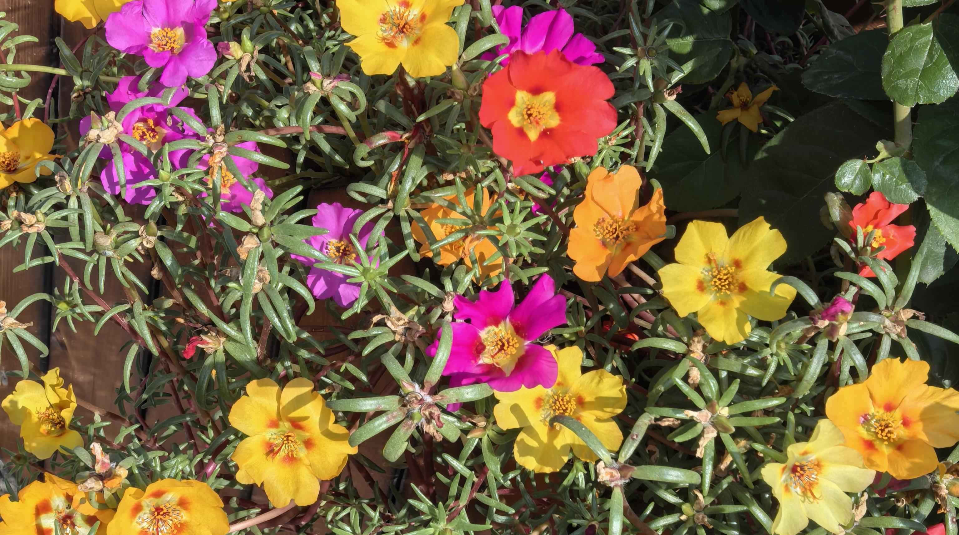 84753c308dbcfeff11c0f60627f1381.jpg 84753c308dbcfeff11c0f60627f1381.jpg