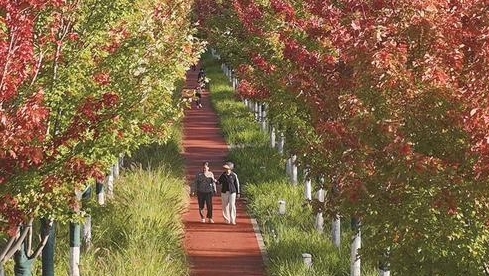 小雨来袭,南部大风,随后降温!