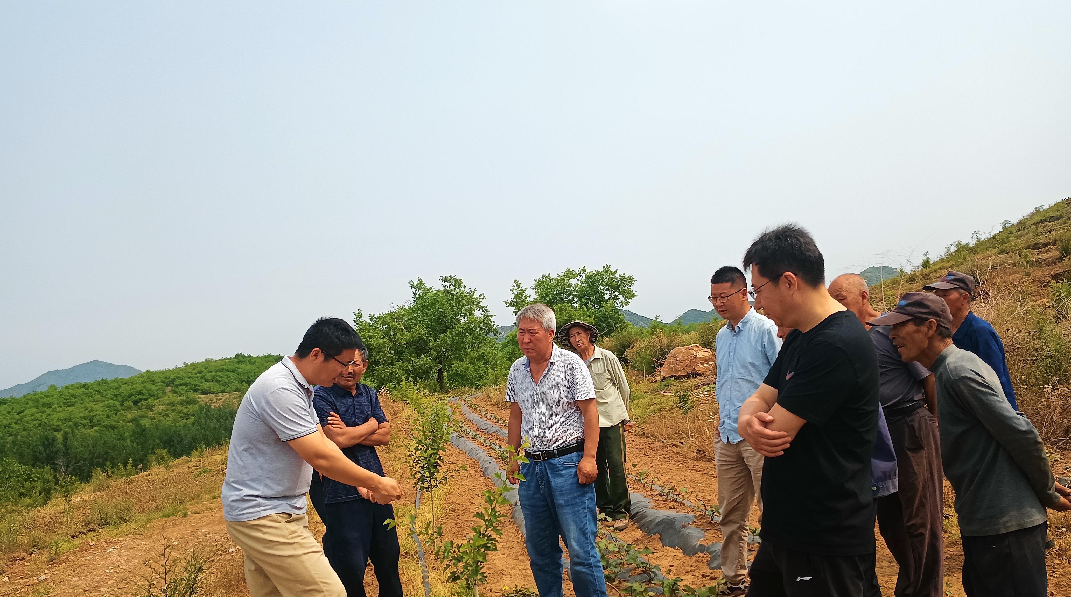 遵化市东旧寨镇：党建引领强根基 乡村振兴谱新篇