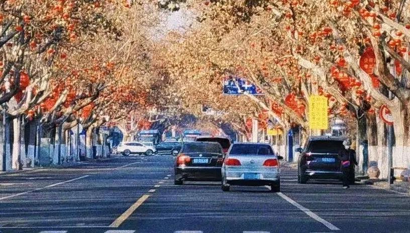 强冷空气来袭!大风蓝色预警!