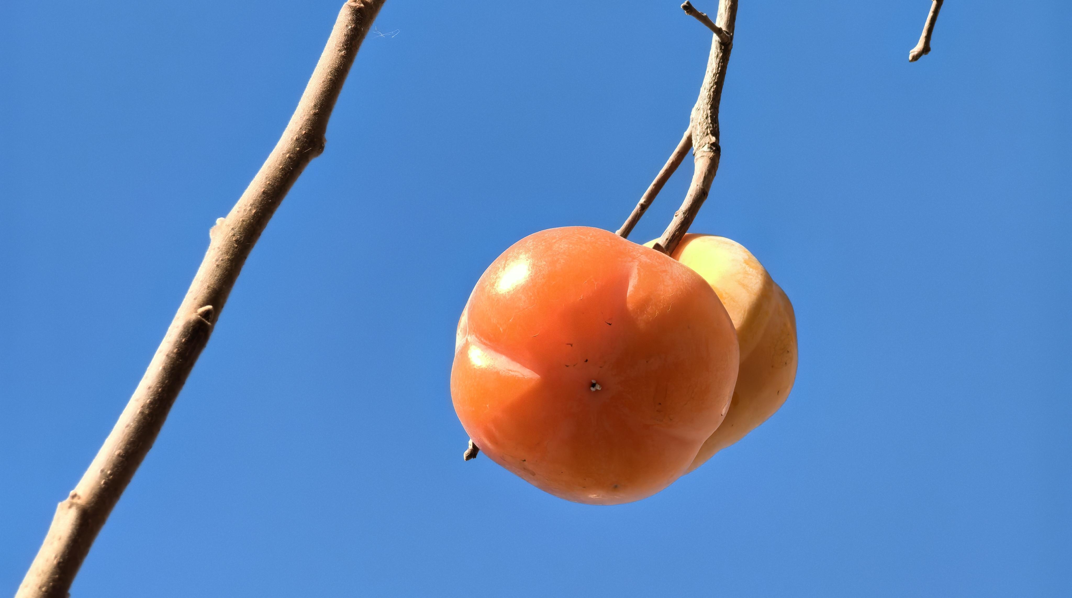 5d940ceb554925c6fc803e404f78c98.jpg 5d940ceb554925c6fc803e404f78c98.jpg