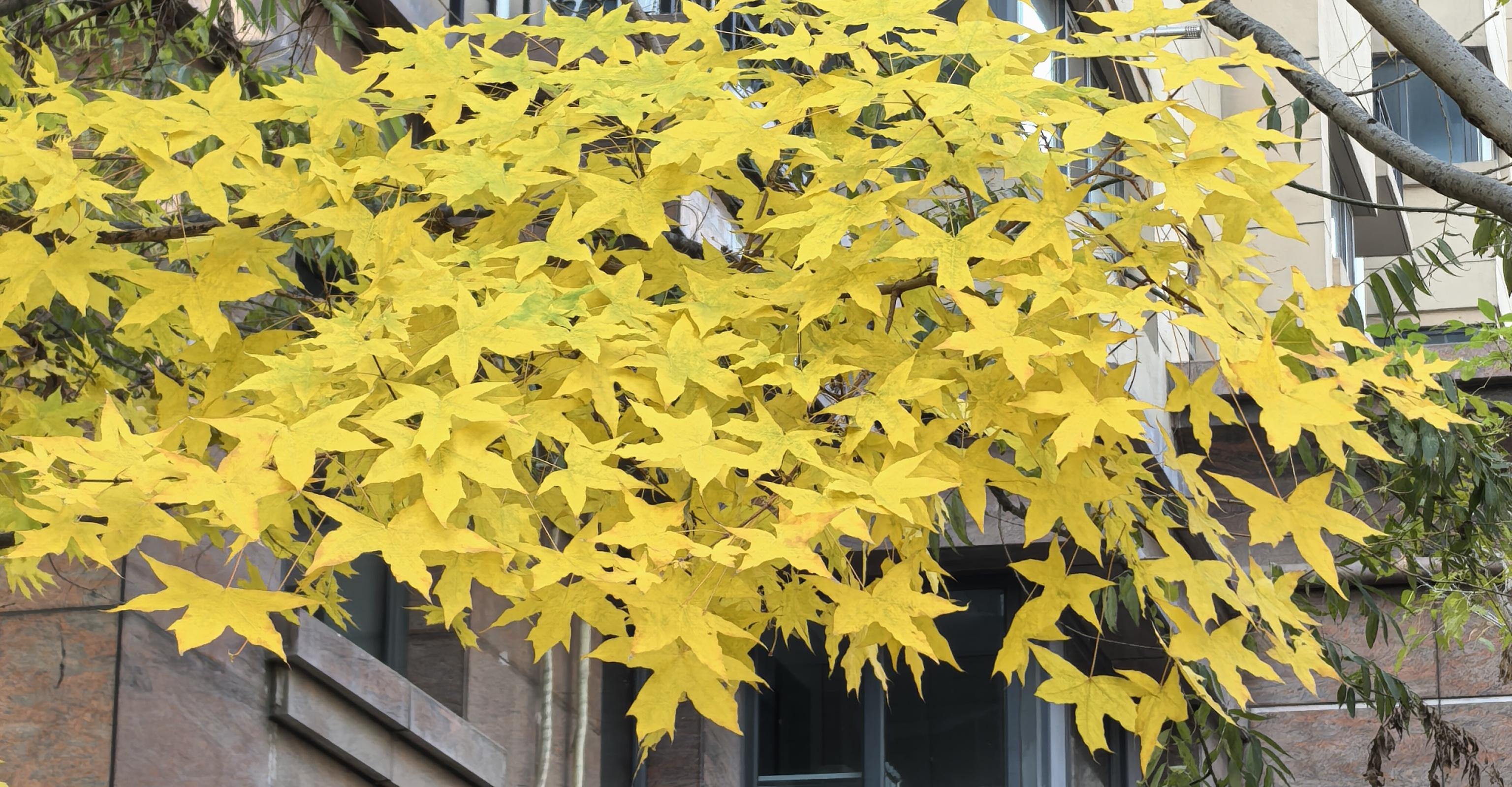 c51bd765d22985cbaebaf5e705f697a.jpg c51bd765d22985cbaebaf5e705f697a.jpg