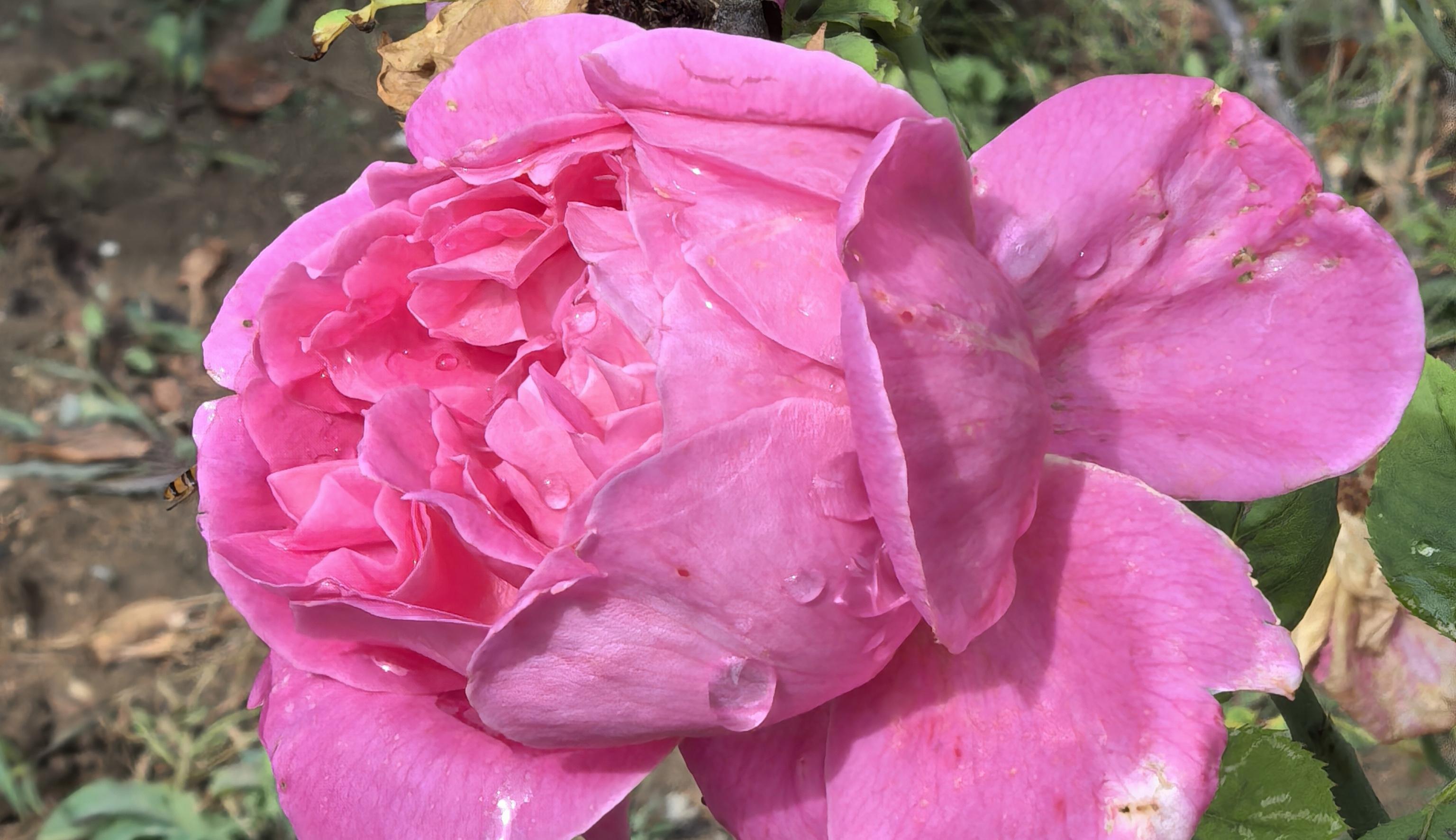 4be13170e5f9564a487a045fbcd2aa6.jpg 4be13170e5f9564a487a045fbcd2aa6.jpg