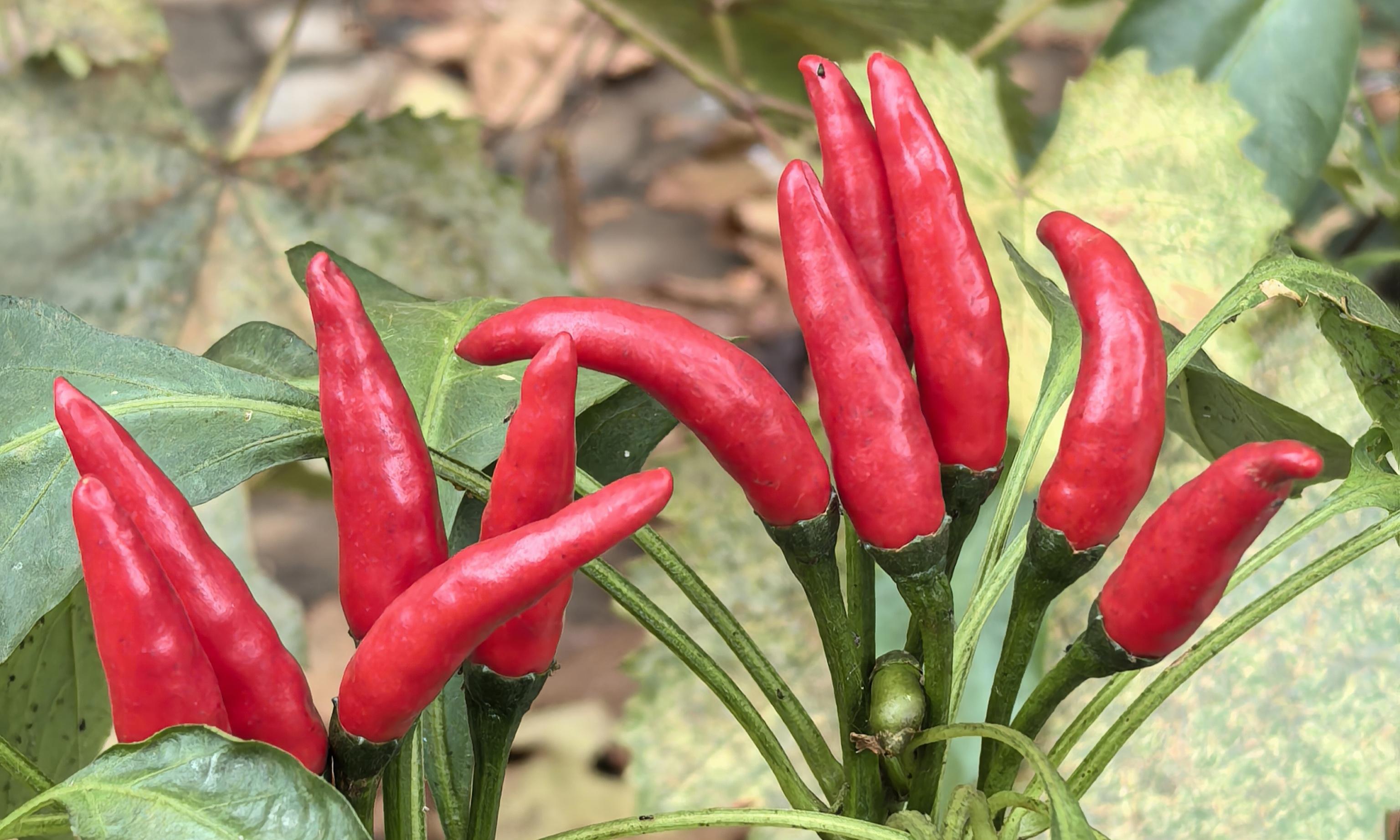 6ec2933862f2d873aa8012e1429bc69.jpg 6ec2933862f2d873aa8012e1429bc69.jpg