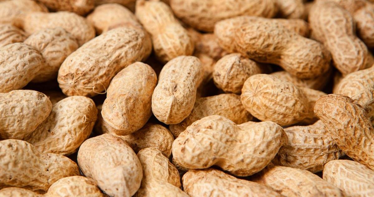 befdac4dd2ccca1d94652252574acfe.jpg befdac4dd2ccca1d94652252574acfe.jpg