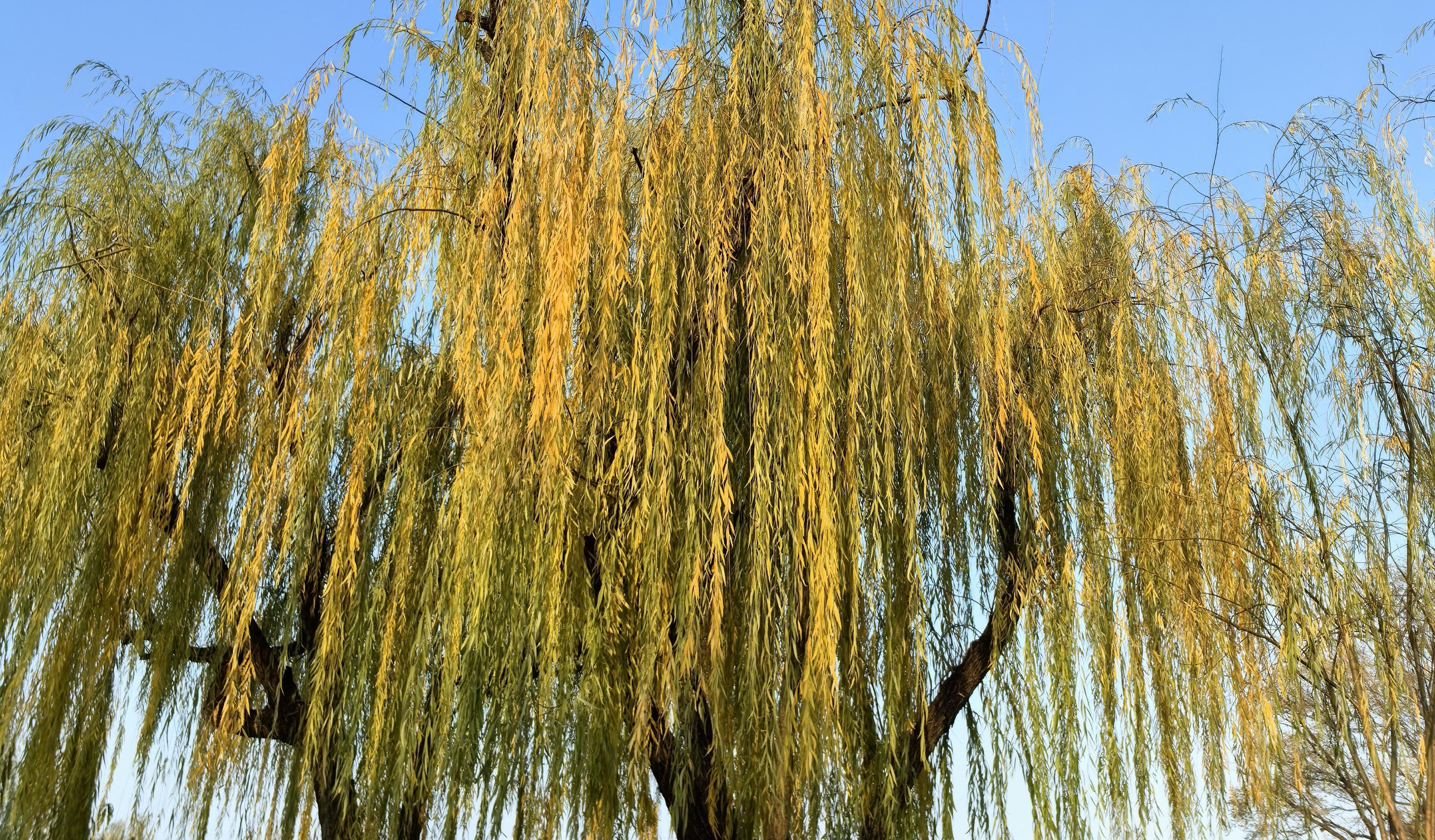 123ec7c00b1adbd5c30ecf4fd80178a.jpg 123ec7c00b1adbd5c30ecf4fd80178a.jpg