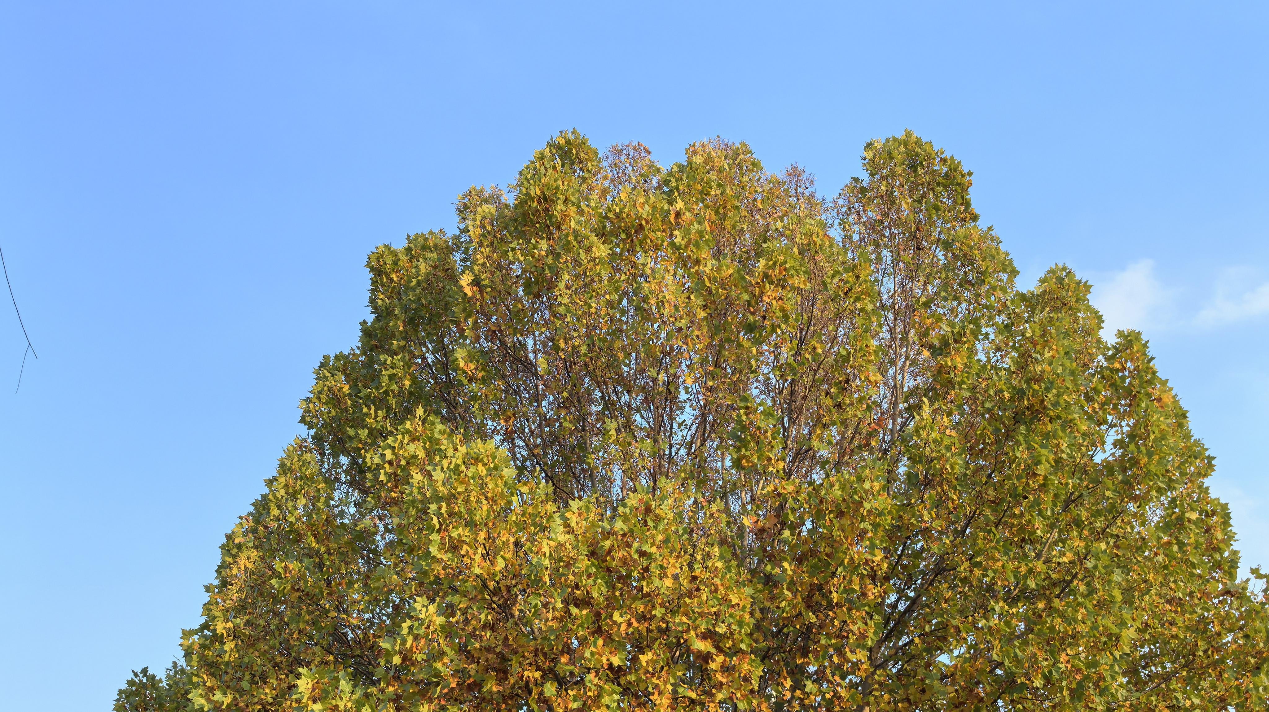 3ab75a2d1f7654d755eca6c29d88f63.jpg 3ab75a2d1f7654d755eca6c29d88f63.jpg