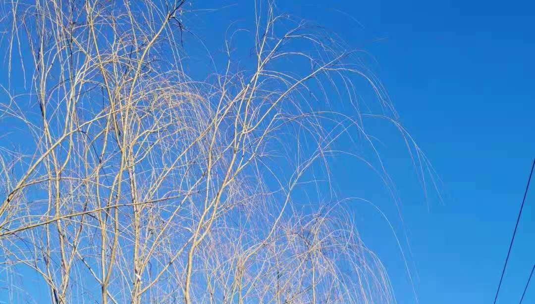 未来三天，唐山气温先升后降