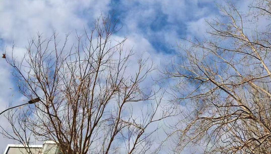 唐山市气象台发布大风预警