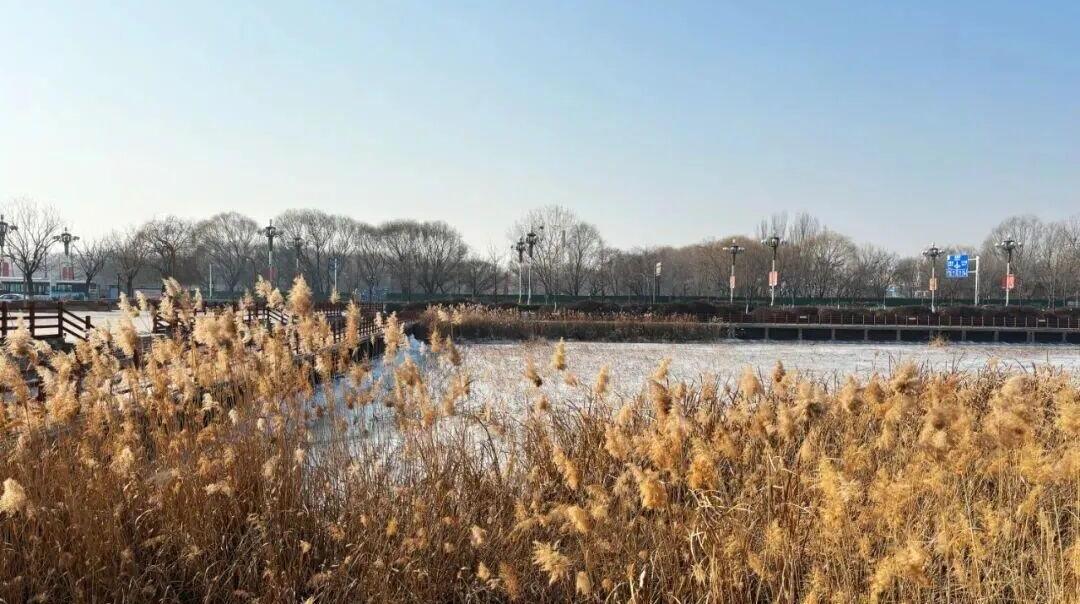 未来三天持续升温,唐山最高气温冲至19℃!