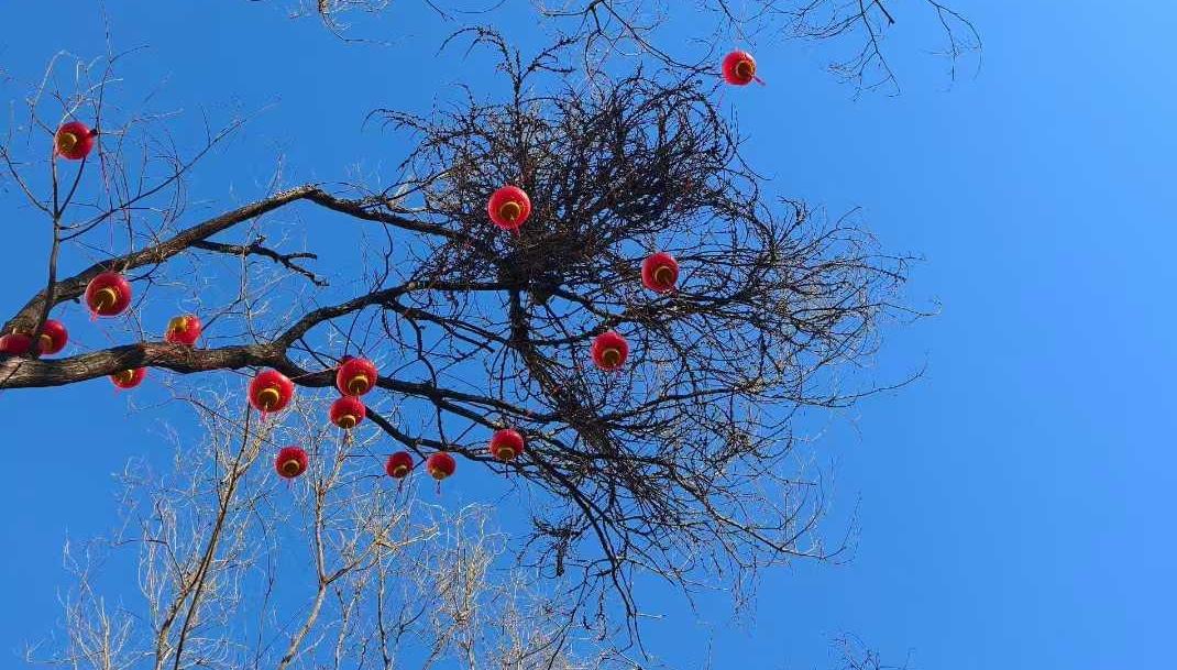 唐山将出现大风和降温天气