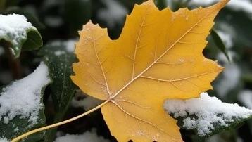 今天夜间唐山阴有零星小雪