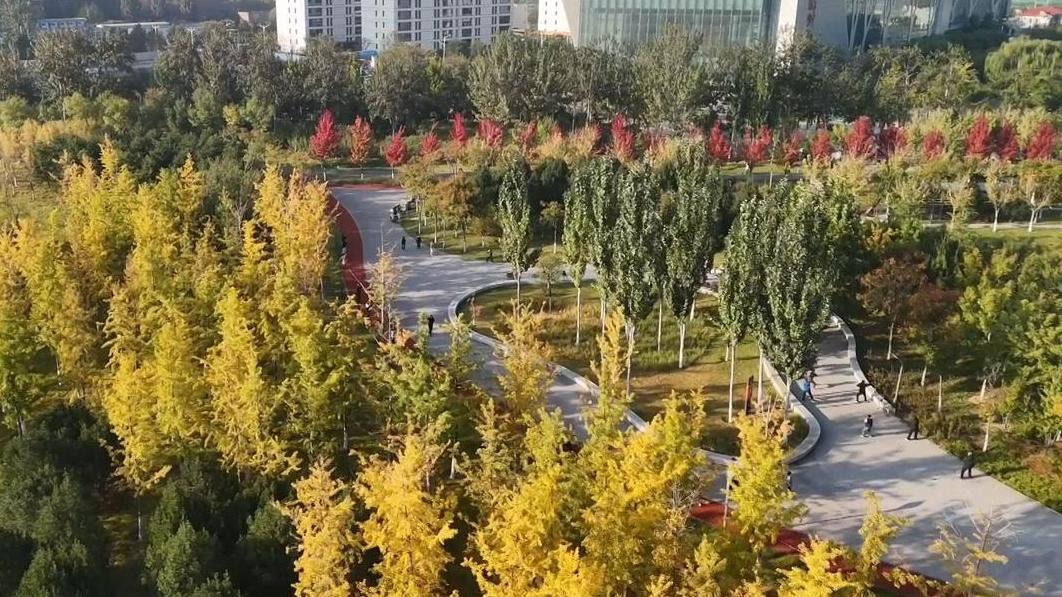 唐山:方寸园景间,乐享幸福年