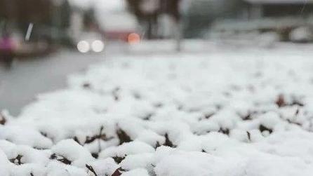 唐山市气象台发布最新雪情信息