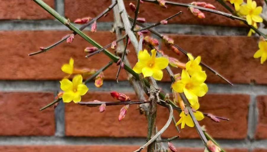 17日夜间，唐山有雨、风力较大