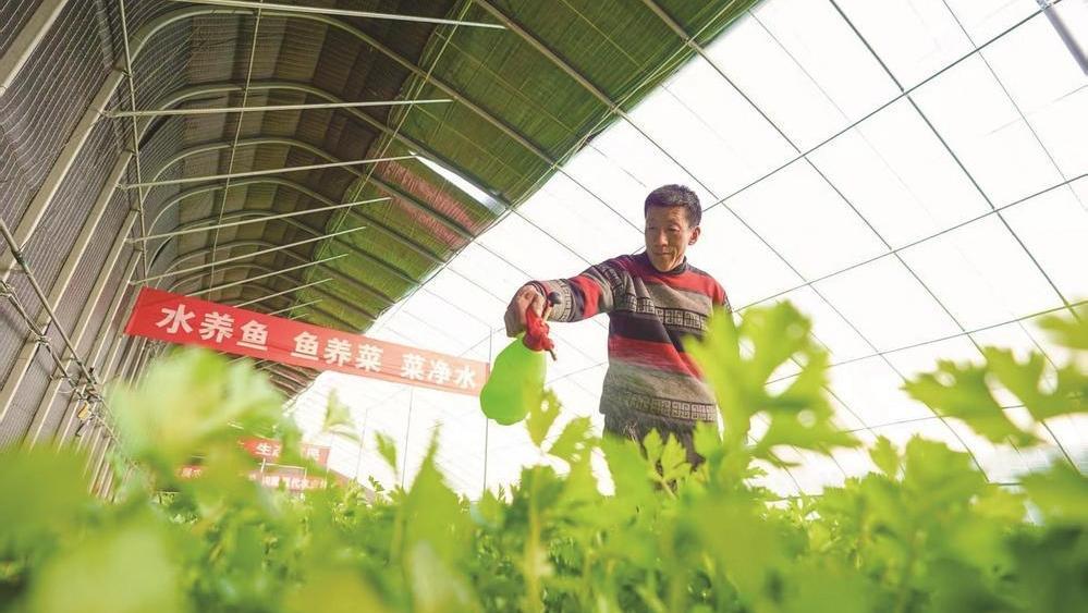 大钊故里：和美乡村入画来