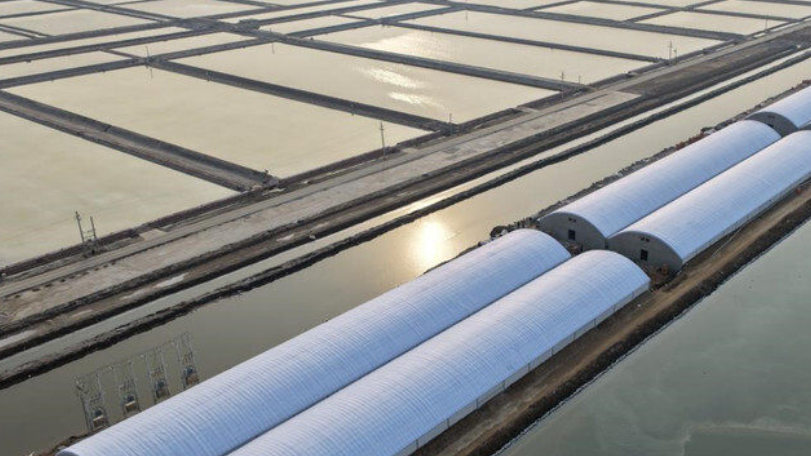 海港经济开发区尚游渔业二期项目主体完工