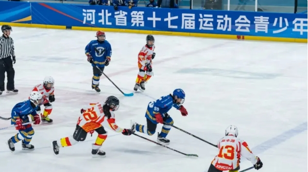 省运会青少年冰球比赛落幕 唐山队三冠加冕