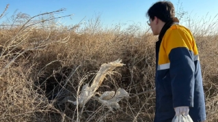 唐山车务段全面整治铁路沿线飘浮物隐患