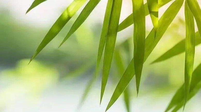 唐山市殡仪馆人民公祭堂关于清明节祭祀高峰期相关业务的温馨提示