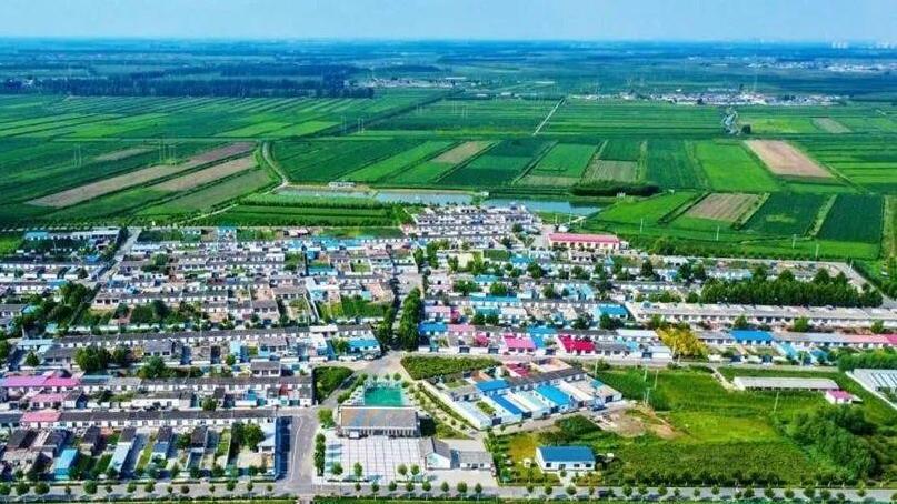 丰南区东田庄镇:绘就和美乡村新图景