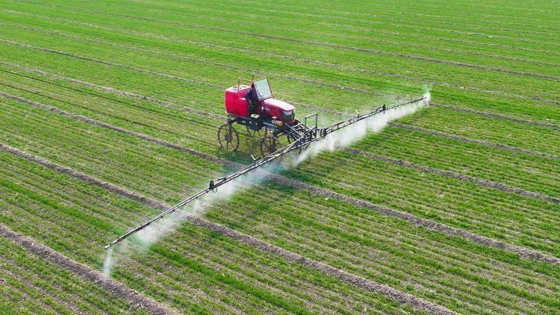 唐山玉田:多维发力筑牢“冀东粮仓”根基