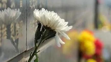 唐山市民政局向全体市民发出倡议:清明期间文明祭祀