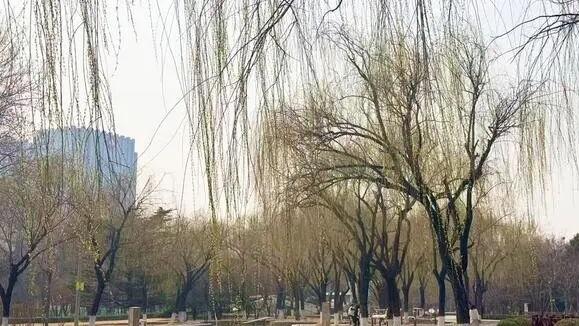 唐山市气象台发布大风预警