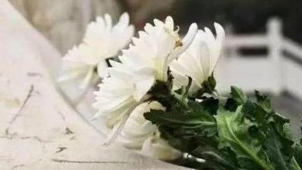 文明祭扫寄哀思 传承新风润心田