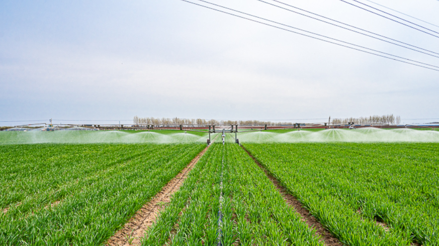开平区抢抓农时推进春管春耕